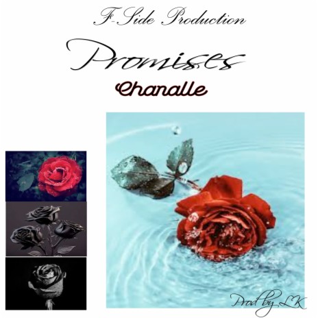 Promises ft. Chanelle | Boomplay Music