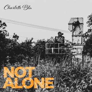 Not Alone lyrics | Boomplay Music