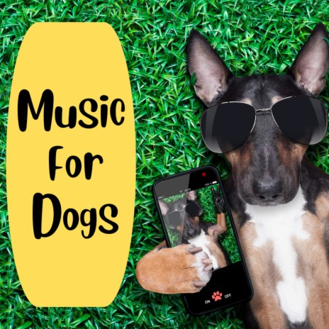 Piano Instrumental for Dogs ft. Music For Dogs Peace, Relaxing Puppy Music & Calm Pets Music Academy | Boomplay Music