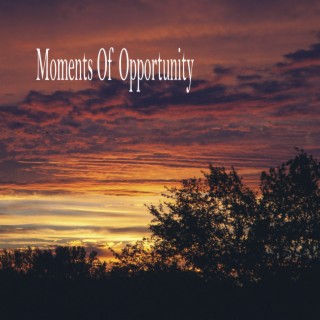 Moments Of Opportunity