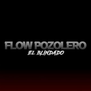 Flow Pozolero