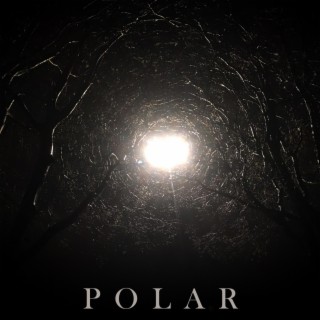 Polar