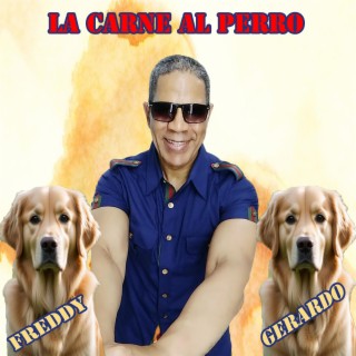 LA CARNE AL PERRO