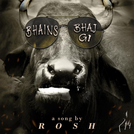 Bhains Bhaj gi | Boomplay Music