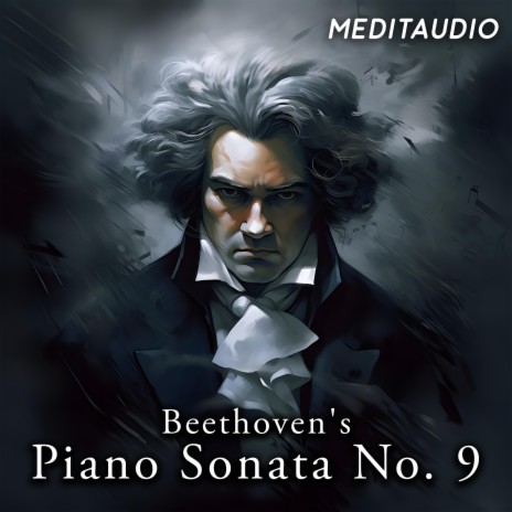 Beethoven's Piano sonata No.9 in E major III. Rondo Allegro comodo