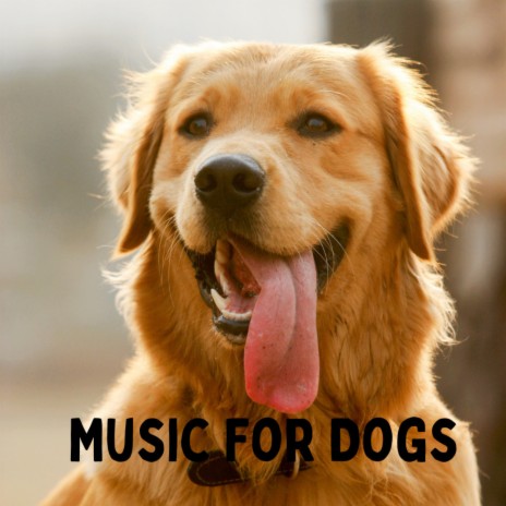 Dozing Off ft. Music For Dogs Peace, Relaxing Puppy Music & Calm Pets Music Academy