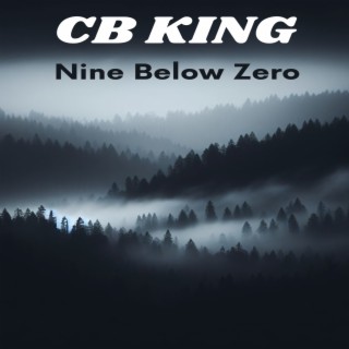 Nine Below Zero