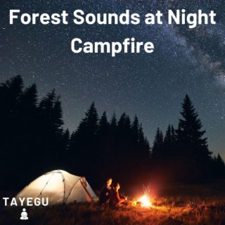 Forest Sounds at Night Campfire Camping Crickets, Frogs and Owls 1 Hour Relaxing Nature Ambient Yoga Meditation Sound For Sleep or Study