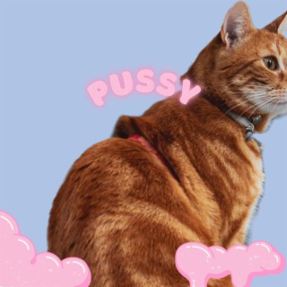 PUSSY