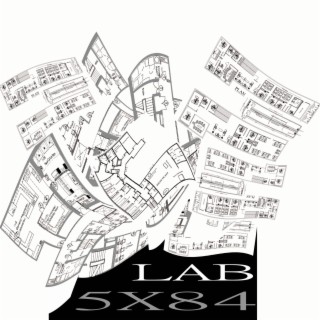 Lab