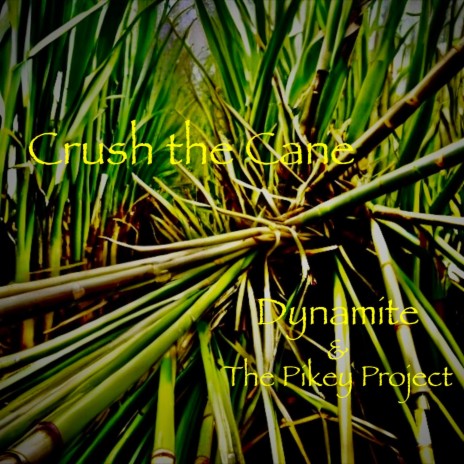 Crush the Cane ft. The Pikey Project | Boomplay Music