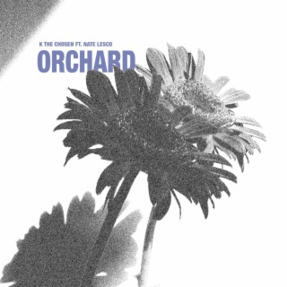 Orchard ft. Nate Lesco lyrics | Boomplay Music