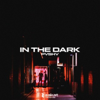 In the Dark