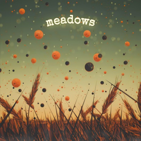 meadows