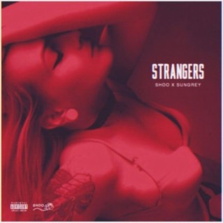 Strangers (feat. Sungrey)