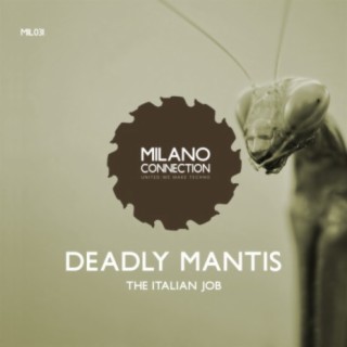 Deadly Mantis