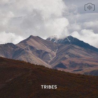 Tribes