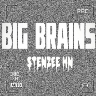 Big brains