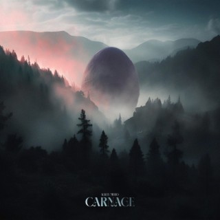 Carnage lyrics | Boomplay Music