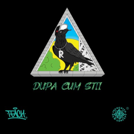 Dupa Cum Stii | Boomplay Music