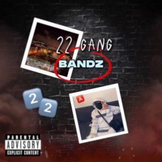 22 Gang