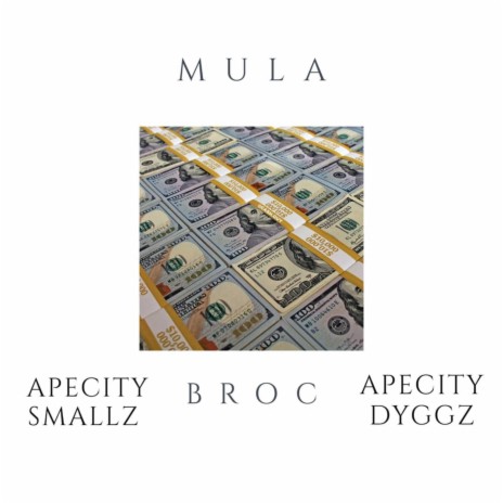 Mula ft. Apecity Dyggz & Broc | Boomplay Music