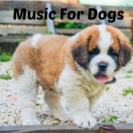 Best Music For Dogs ft. Music For Dogs Peace, Relaxing Puppy Music & Calm Pets Music Academy | Boomplay Music