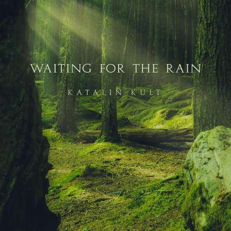 Waiting for the Rain | Boomplay Music