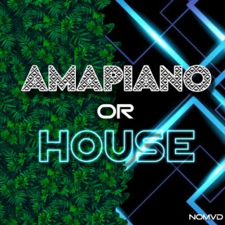 Amapiano or House?