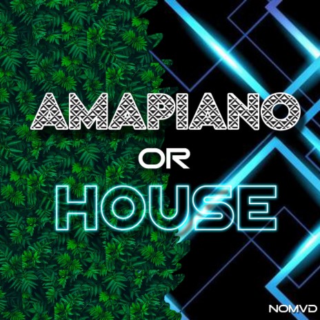 Amapiano or House? | Boomplay Music