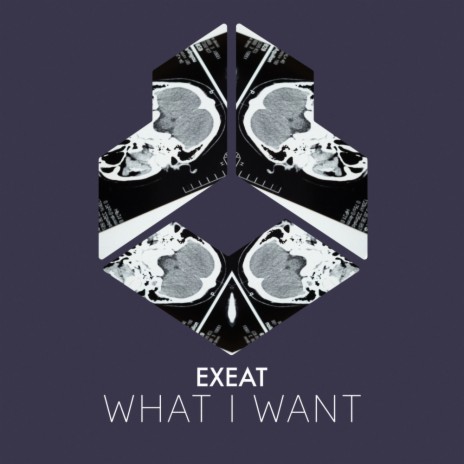 What I Want (Extended Mix) | Boomplay Music