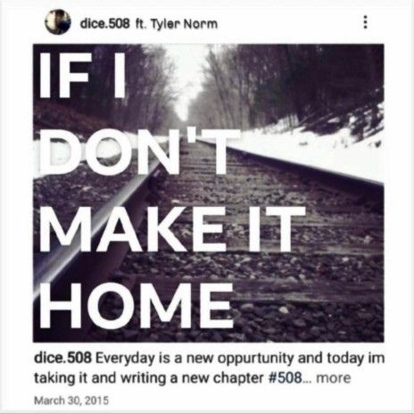 If I Don't Make It Home ft. Tyler Norm | Boomplay Music