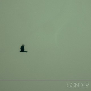 Sonder