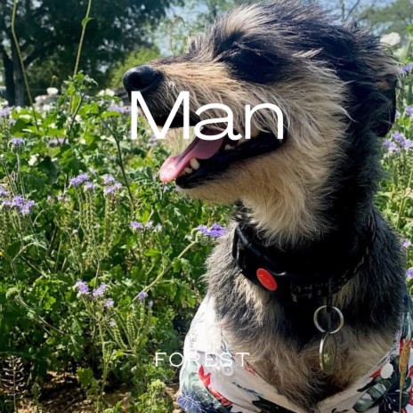 Man | Boomplay Music