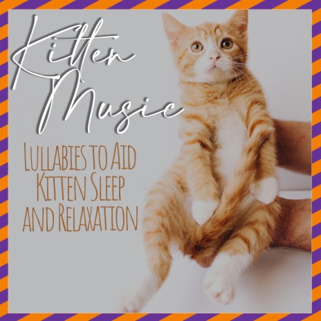 Songs for Cats ft. Cat Music Dreams | Boomplay Music