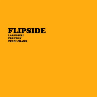 FLIPSIDE (Remix)