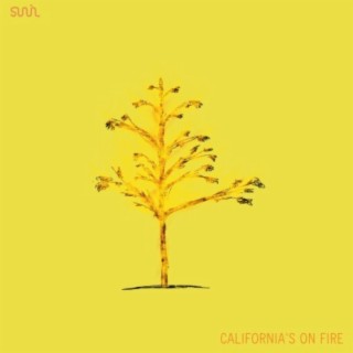 California's On Fire