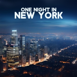 One Night in New York