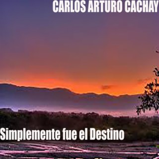 Carlos Arturo Cachay