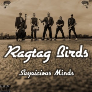 Ragtag Birds