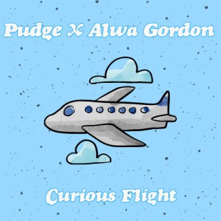 Curious Flight