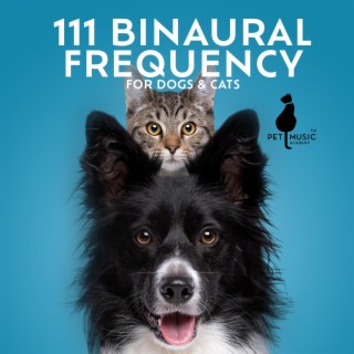 111 Binaural Frequency for Dogs & Cats