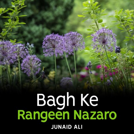 Bagh Ke Rangeen Nazaro | Boomplay Music