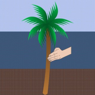 Karate Palm Tree