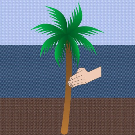 Karate Palm Tree