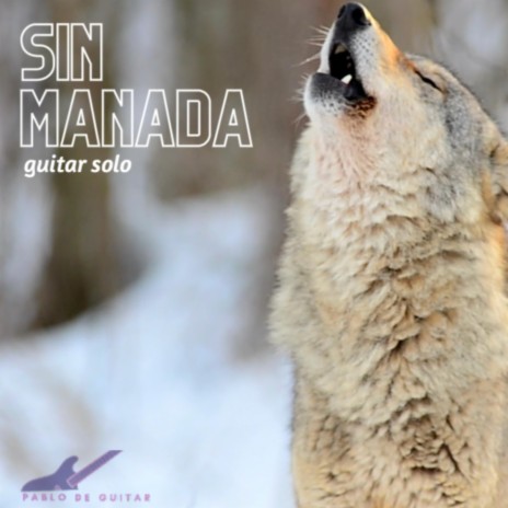 Sin Manada | Boomplay Music
