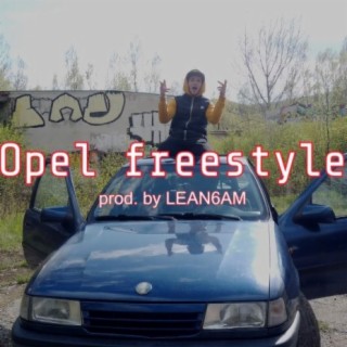 Opel Freestyle