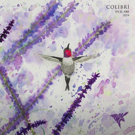 Colibrí ft. José Tomás Rives, Marvin Beats & Wlah | Boomplay Music