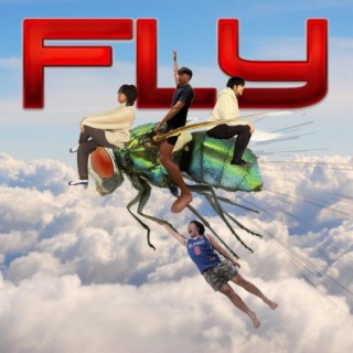 Fly lyrics | Boomplay Music