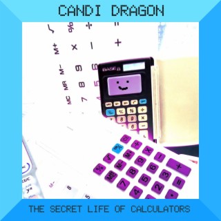 The Secret Life of Calculators